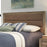 Liberty Furniture | Bedroom Queen Uph Bed in Richmond Virginia 6384