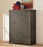 Legacy Classic Furniture | Youth Bedroom Chest in Lynchburg, Virginia 10191