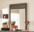 Legacy Classic Furniture | Youth Bedroom Dresser & Mirror in Frederick, Maryland 10212